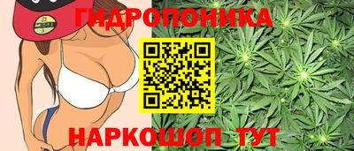 мдма Волжск