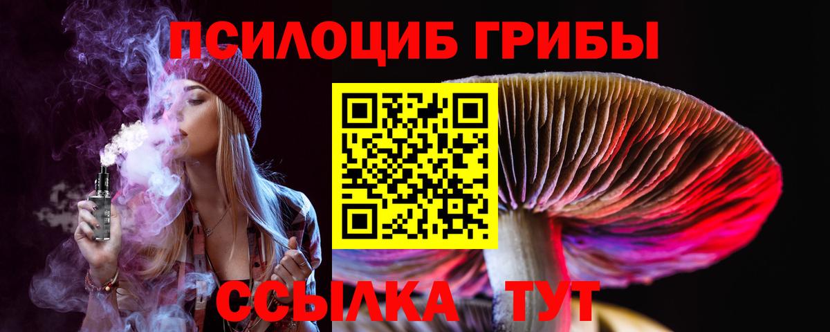 Галлюциногенные грибы MAGIC MUSHROOMS Баксан